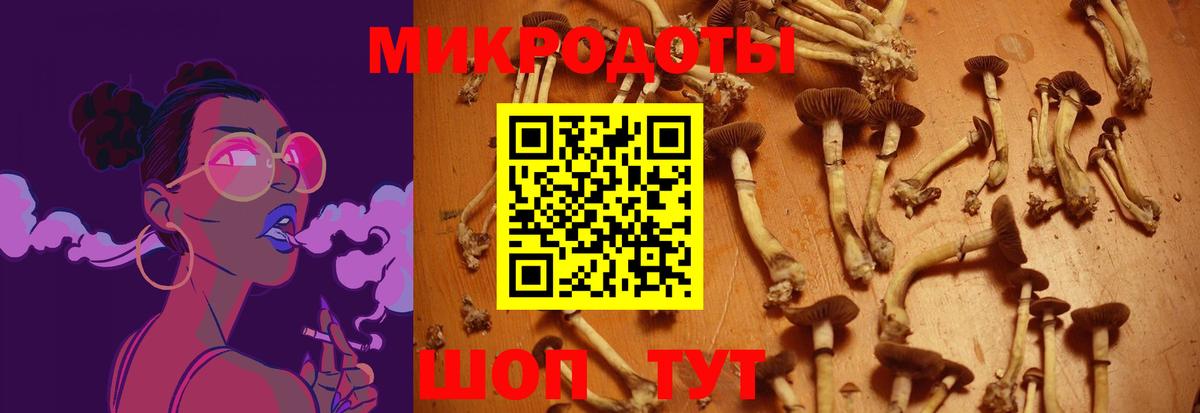 Великий Устюг  Галлюциногенные грибы Psilocybe  закладки  Вход с VPN 